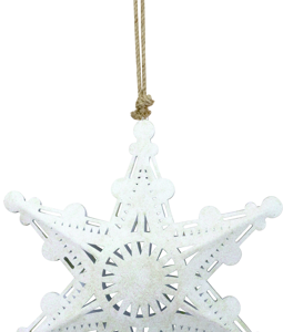 6039 STAR STARDUST